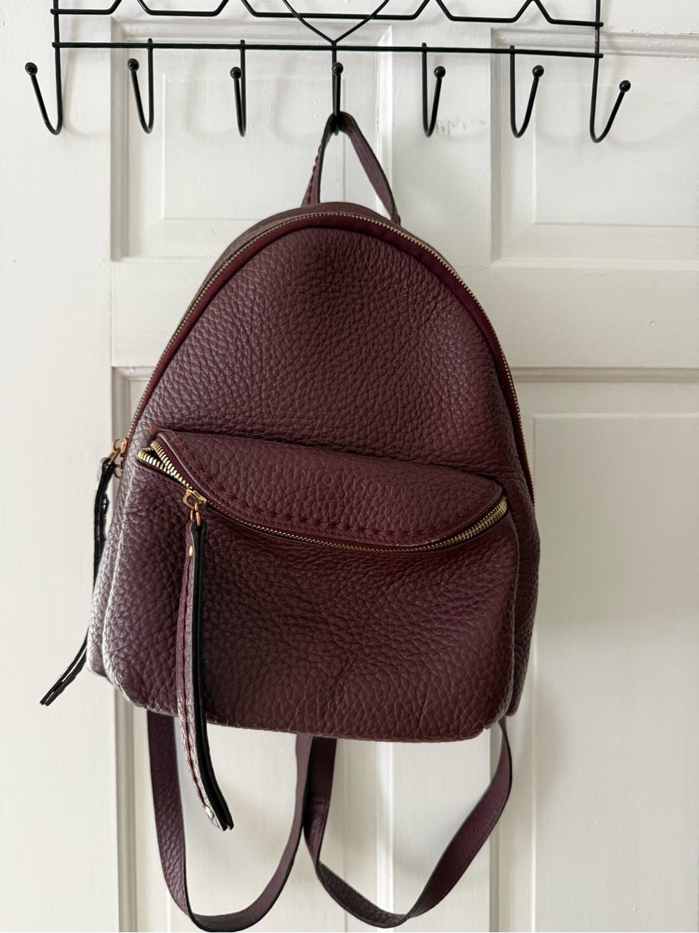 Plinio Visona Pebbled Leather Mini Backpack in Burgundy